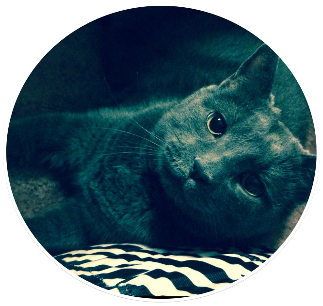Picsart profile picture for @actual
